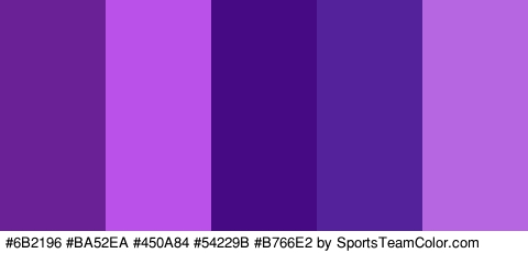 #6B2196 #BA52EA #450A84 #54229B #B766E2 Colors