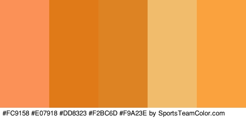 #FC9158 #E07918 #DD8323 #F2BC6D #F9A23E Colors