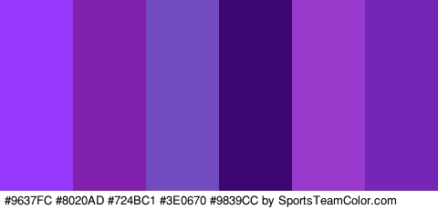 #9637FC #8020AD #724BC1 #3E0670 #9839CC #7626B7 Colors