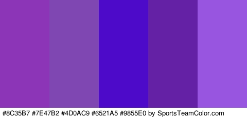 #8C35B7 #7E47B2 #4D0AC9 #6521A5 #9855E0 Colors