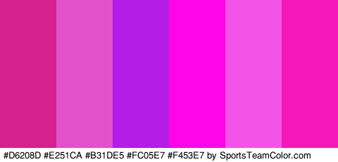 #D6208D #E251CA #B31DE5 #FC05E7 #F453E7 #F418BA Colors