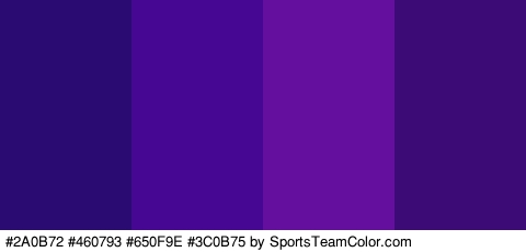 #2A0B72 #460793 #650F9E #3C0B75 Colors