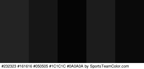 #232323 #161616 #050505 #1C1C1C #0A0A0A Colors