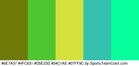 #6E7A07 #4FC631 #D5E23D #34C1AE #07FF9C Colors