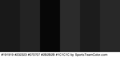 #191919 #232323 #070707 #2B2B2B #1C1C1C #282828 Colors