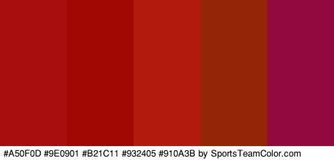 #A50F0D #9E0901 #B21C11 #932405 #910A3B Colors