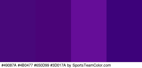 #49087A #4B0477 #650D99 #3D017A Colors