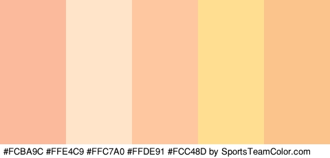 #FCBA9C #FFE4C9 #FFC7A0 #FFDE91 #FCC48D Colors