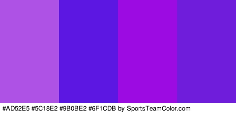 #AD52E5 #5C18E2 #9B0BE2 #6F1CDB Colors