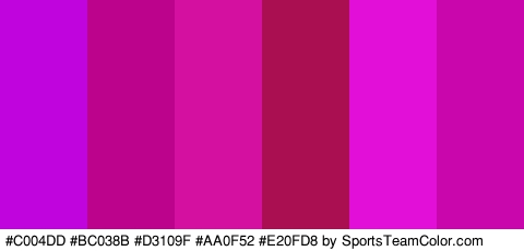 #C004DD #BC038B #D3109F #AA0F52 #E20FD8 #C906AC Colors