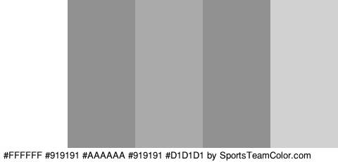 #FFFFFF #919191 #AAAAAA #919191 #D1D1D1 Colors