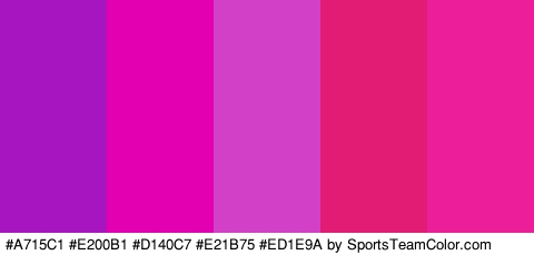 #A715C1 #E200B1 #D140C7 #E21B75 #ED1E9A Colors