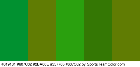 #019131 #607C02 #2BA00E #357705 #607C02 Colors