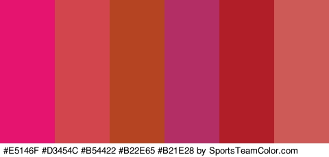 #E5146F #D3454C #B54422 #B22E65 #B21E28 #CE5A58 Colors