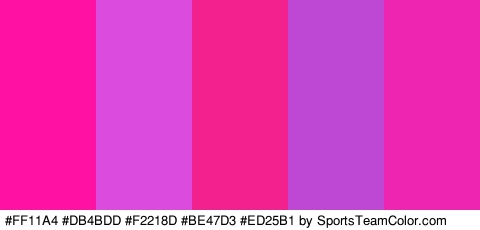 #FF11A4 #DB4BDD #F2218D #BE47D3 #ED25B1 Colors