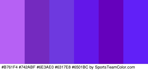 #B761F4 #742ABF #6E3AE0 #6317E8 #6501BC #6020F7 Colors