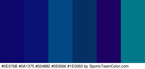 #0E076B #0A1375 #024882 #053066 #1E0263 #027989 Colors