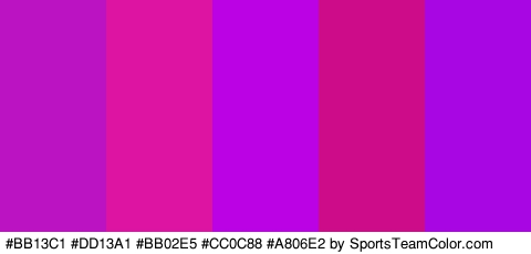 #BB13C1 #DD13A1 #BB02E5 #CC0C88 #A806E2 Colors