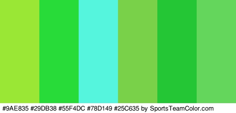 #9AE835 #29DB38 #55F4DC #78D149 #25C635 #64D65C Colors