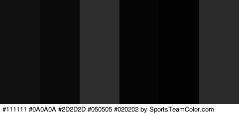 #111111 #0A0A0A #2D2D2D #050505 #020202 #2B2B2B Colors