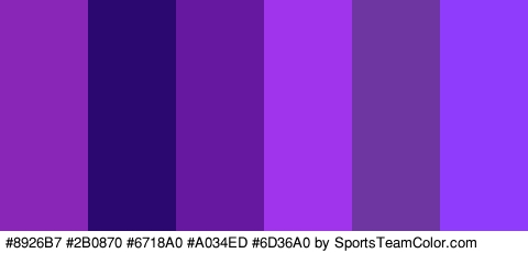 #8926B7 #2B0870 #6718A0 #A034ED #6D36A0 #8F3CFC Colors