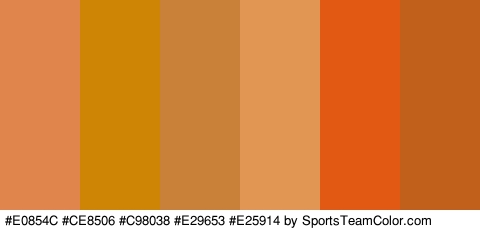 #E0854C #CE8506 #C98038 #E29653 #E25914 #C1601B Colors