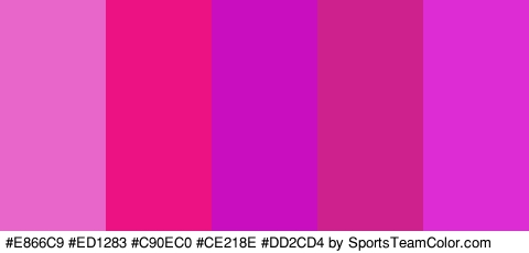 #E866C9 #ED1283 #C90EC0 #CE218E #DD2CD4 Colors