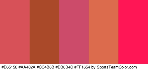 #D65158 #AA482A #CC4B6B #DB6B4C #FF1654 Colors