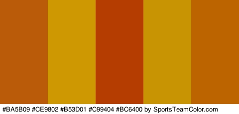 #BA5B09 #CE9802 #B53D01 #C99404 #BC6400 Colors