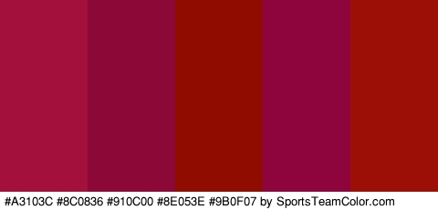 #A3103C #8C0836 #910C00 #8E053E #9B0F07 Colors