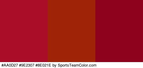 #AA0D27 #9E2307 #8E021E Colors