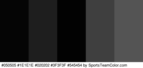 #050505 #1E1E1E #020202 #3F3F3F #545454 Colors