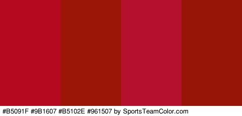 #B5091F #9B1607 #B5102E #961507 Colors