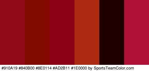 #910A19 #840B00 #8E0114 #AD2B11 #1E0000 #AF1139 Colors