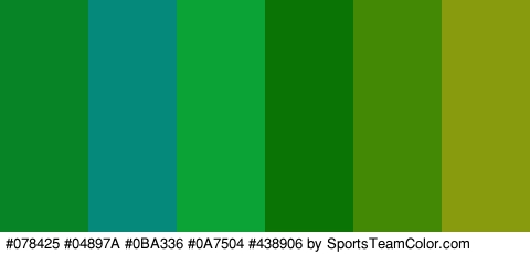 #078425 #04897A #0BA336 #0A7504 #438906 #889B0F Colors