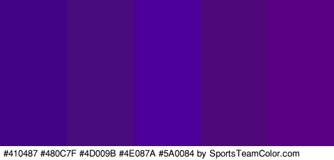 #410487 #480C7F #4D009B #4E087A #5A0084 Colors