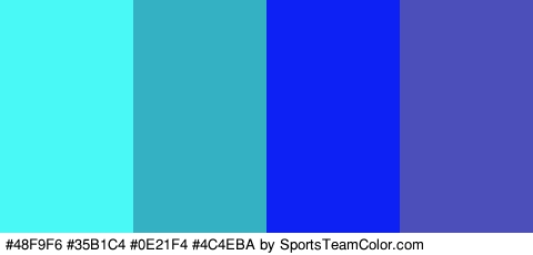 #48F9F6 #35B1C4 #0E21F4 #4C4EBA Colors