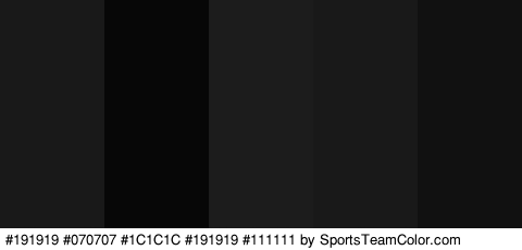 #191919 #070707 #1C1C1C #191919 #111111 Colors