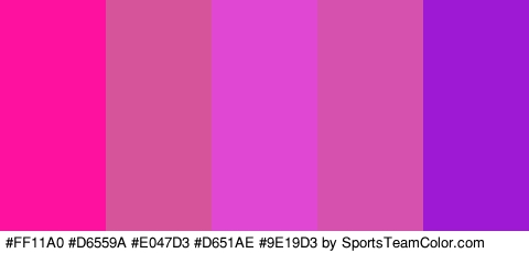 #FF11A0 #D6559A #E047D3 #D651AE #9E19D3 Colors