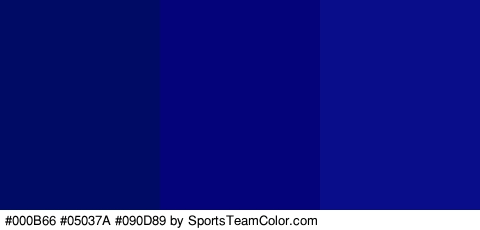 #000B66 #05037A #090D89 Colors