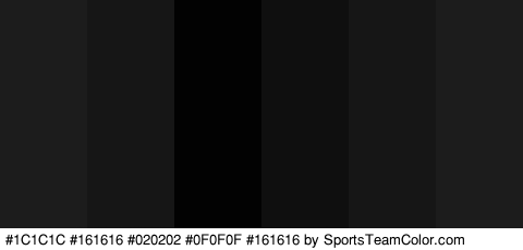 #1C1C1C #161616 #020202 #0F0F0F #161616 #1C1C1C Colors