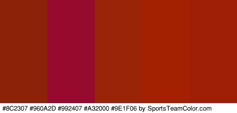 #8C2307 #960A2D #992407 #A32000 #9E1F06 Colors