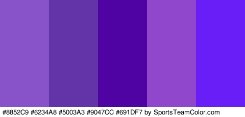 #8852C9 #6234A8 #5003A3 #9047CC #691DF7 Colors