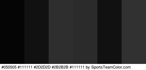 #050505 #111111 #2D2D2D #2B2B2B #111111 #303030 Colors