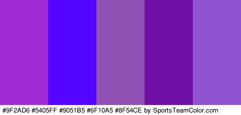 #9F2AD6 #5405FF #9051B5 #6F10A5 #8F54CE Colors