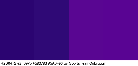 #2B0472 #2F0975 #590793 #5A0493 Colors