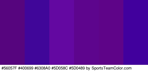 #56057F #400699 #6308A0 #5D058C #5D0489 #41009E Colors