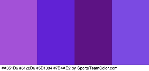 #A351D6 #6122D6 #5D1384 #7B4AE2 Colors