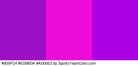 #9D0FC4 #ED0BDA #AD00E2 Colors