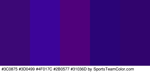 #3C0875 #3D0499 #4F017C #2B0577 #31036D Colors